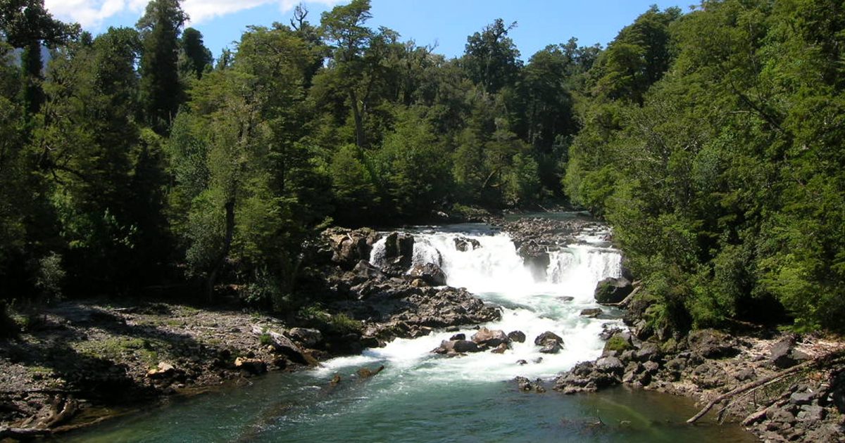 Parque Nacional Puyehue.