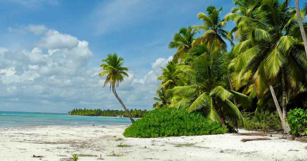 imagen de una playa en cuba que tiene aguas claras, arenas blancas y varias palmeras