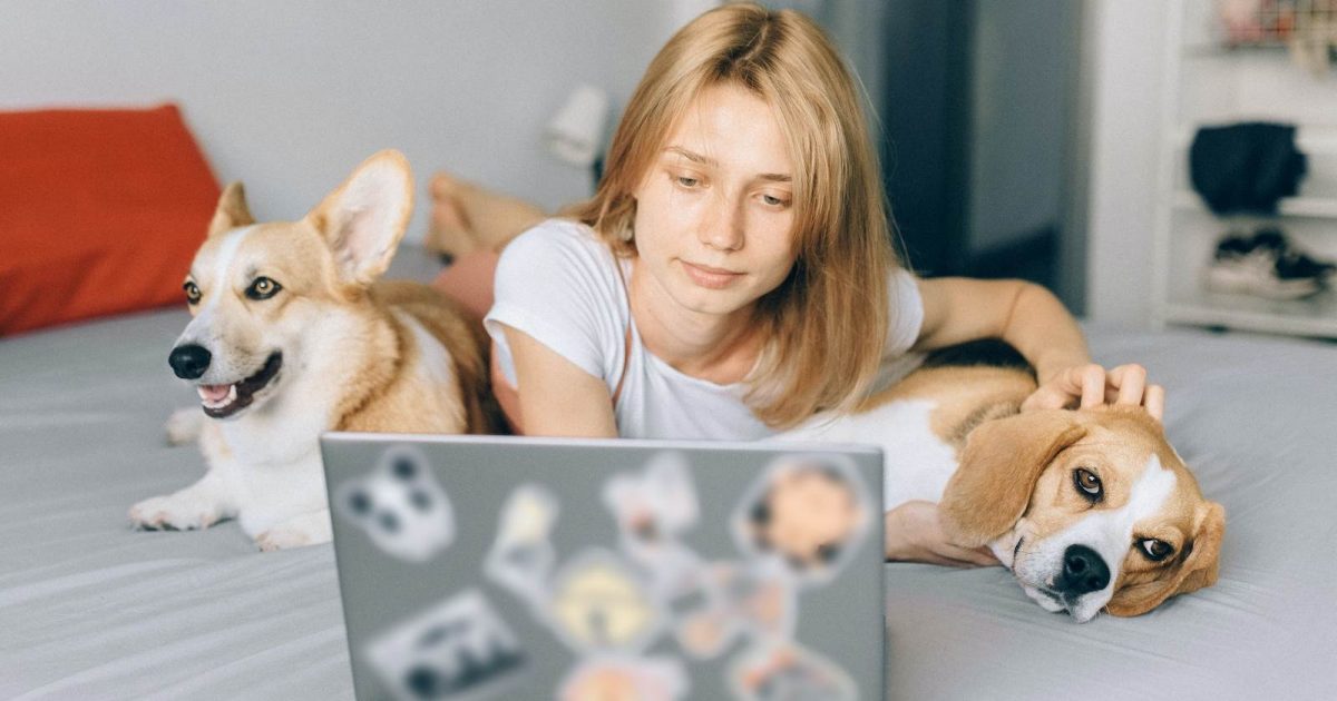 foto de una mujer mirando su computadora con dos perros sobre su cama